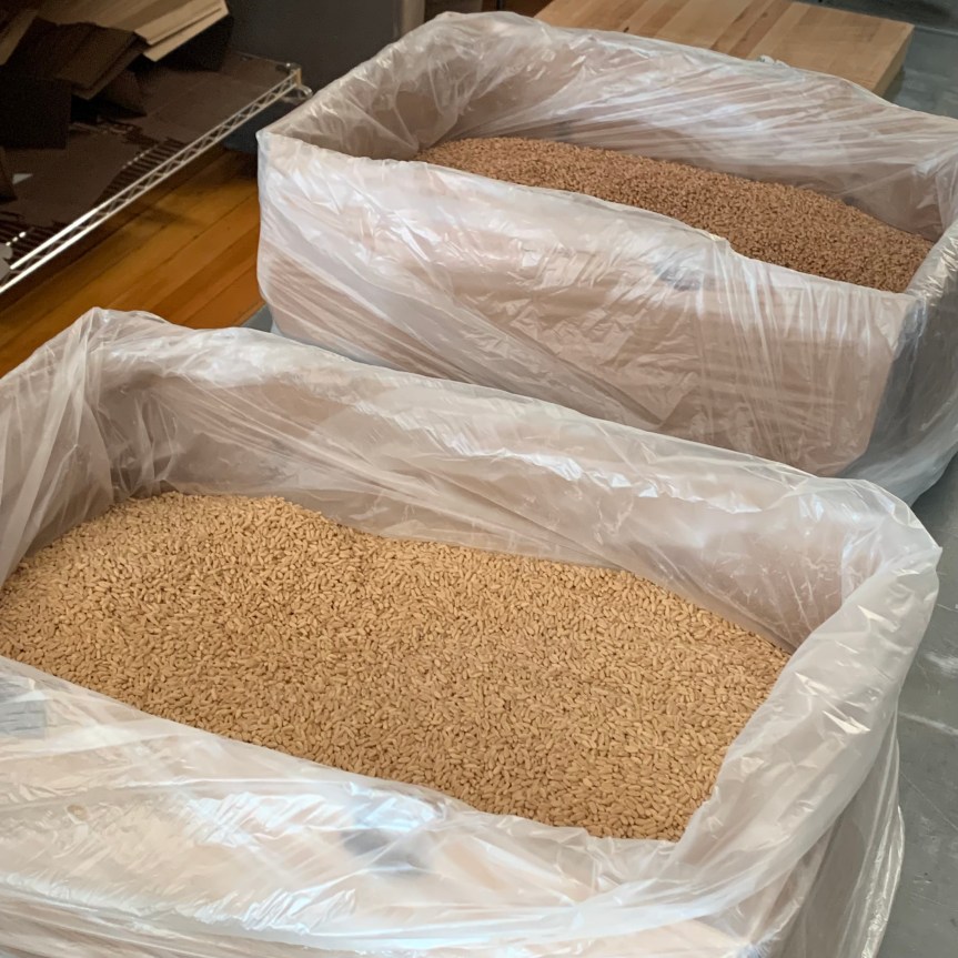 Two shallow boxes, open with plastic liner bags rolled over the edges holding whole wheat berries, one a red variety and the other white.