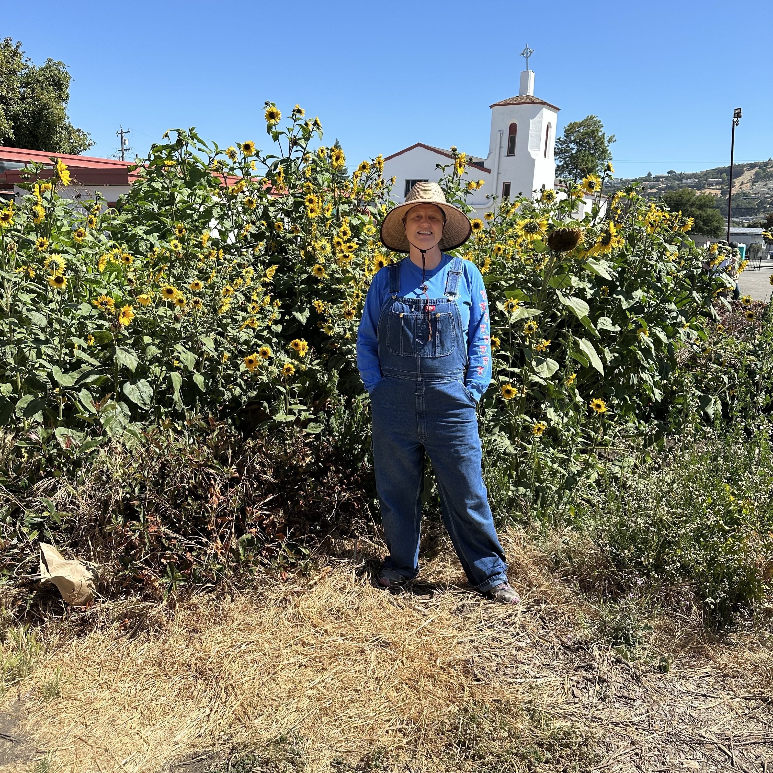 A person is standing in front of a dense patch of sunflowers. The individual is wearing denim overalls over a long-sleeved blue shirt and a wide-brimmed hat. The sunflowers are tall, reaching above the person's head, and are densely packed, with numerous yellow blooms visible. To the right of the person, there is a white building with a cross on top, suggesting it might be a church. The building is positioned in the background, slightly to the right of the person. The ground in the foreground is covered with dry grass and some green vegetation. In the distance, there are hills and a few trees visible., Halcyon-Foothill, San Leandro, CA, June 28 described using Be My AI.